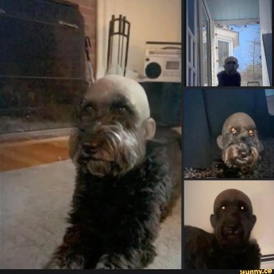 Profile Picture of Johnhatchell (@Johnhatchell11) on Twitter