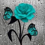 Profile Picture of Tabatha Stewart (@tabbystewart40) on Instagram