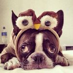 Profile Picture of Cynthia Barnes (@cynthia_barnes_) on Instagram