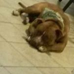 Profile Picture of Tyrone Guy (@tguy864060) on Instagram