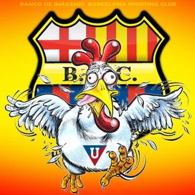 Profile Picture of Cesar Ramiro Bermeo (@RamiroBermeo) on Twitter