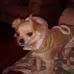 Profile Picture of Craig Wolf (Craig Wolf) (@craig.wolf.10) on Facebook