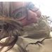 Profile Picture of Magaly Maya (@magaly.maya.7564) on Facebook