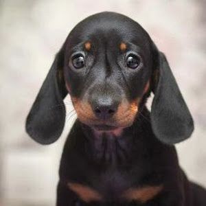 Profile Picture of Scott Looper (@scott.looper) on Tiktok