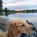 Profile Picture of Doug Blackaby (@doug.blackaby.5) on Facebook