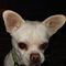 Profile Picture of Lori Hays Kutcher (@kutcherqueen) on Facebook