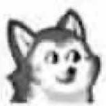Profile Picture of Archer_Ray (@ArcherRarcherkw) on Twitter