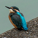 Profile Picture of T_t_ski (@t_t_ski) on Flickr