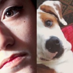 Profile Picture of Lucía Moya As Dogs (@luciiiam22) on Twitter
