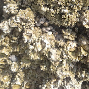 Scott Dorey - Youtube Profile Picture of Scott Dorey (@scottdorey384) on Youtube