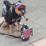 Profile Picture of Chris Dolan (@chrisdolan1295) on Youtube