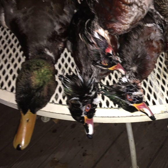 Profile Picture of Clayton Carnley (@ccarnley11) on Poshmark