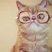 Profile Picture of Corey Rollins (@rollins6020) on Pinterest