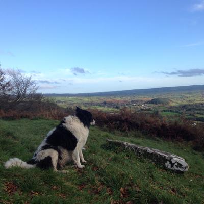 Profile Picture of Heather Stevenson (@hstevenson20) on Twitter