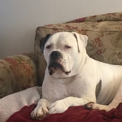 Profile Picture of Paul stensland (@paul_pstens111) on Twitter