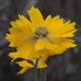 Profile Picture of Kathy Purtle Ashcraft (@kpashcraft) on Facebook