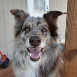 Profile Picture of Lori Yancey (@montanasky7) on Instagram