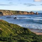 Profile Picture of Nicholas Collis (@nicholas.collis.9469) on Instagram