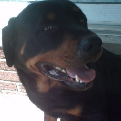 Profile Picture of Gabrielle Pruitt (@gabbie112) on Twitter