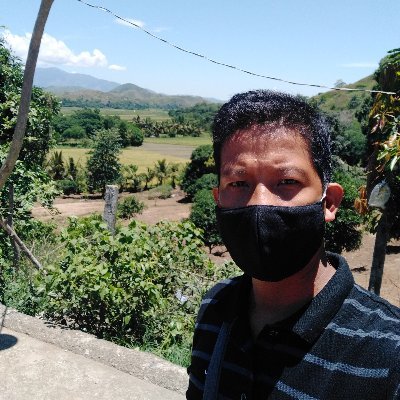 Profile Picture of Brader Berting (@RobertDizer) on Twitter