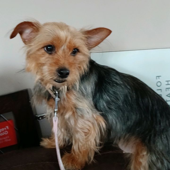 Profile Picture of Wayne Jenkins (@wayne.jenkins42) on Tiktok