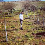 Ali Durmaz - Instagram Profile Picture of Ali Durmaz (@alidurmaz27.27) on Instagram