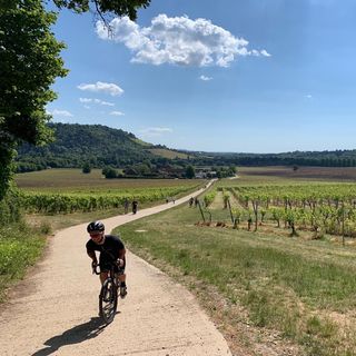 Profile Picture of Giles Harrison (@giles__harrison) on Instagram