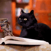 Profile Picture of Eric Bateman (@ericbateman9330) on Youtube