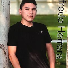 Profile Picture of FeugaldeTovar (@felisadeherrera) on Tiktok