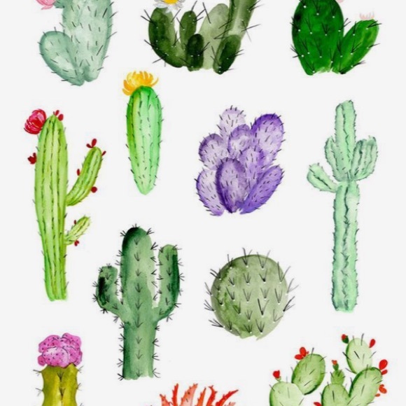 Profile Picture of Reese Cornelsen (@reesecornelsen) on Poshmark