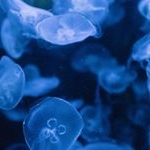 Profile Picture of Mariah Scott (@mariahscott5187) on Instagram