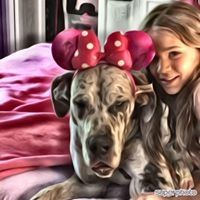 Profile Picture of Candace Mulcahy (@candace9956) on Pinterest