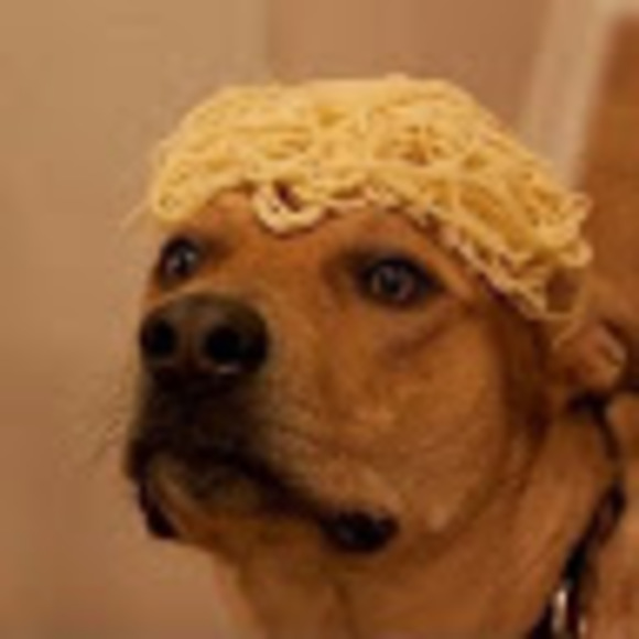 Profile Picture of Rocco Ronzone (@2018475) on Poshmark