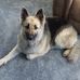 Profile Picture of Lorna Wilkinson (@lorna.wilkinson.338) on Facebook