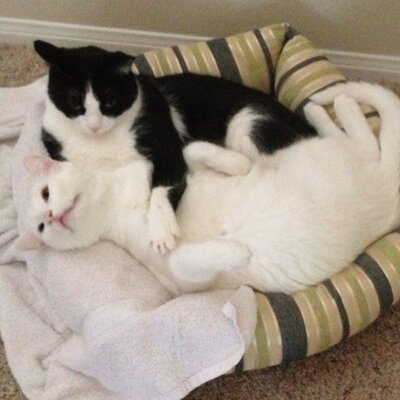 Profile Picture of Moses Ng (@MosesWoo) on Twitter