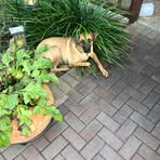 Profile Picture of Hernando Hoyos (@hernando.hoyos.1610) on Facebook