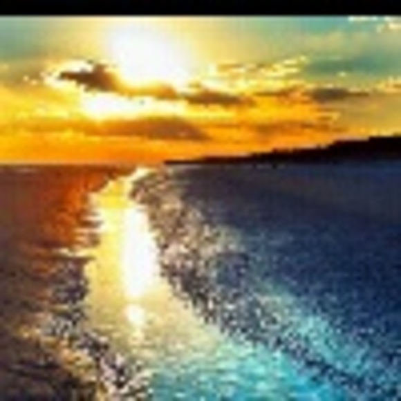 Nikki Holmes - Poshmark Profile Picture of Nikki Holmes (@nikkiaph) on Poshmark