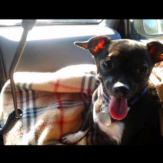 Profile Picture of Libby Gables (@libbygables) on Tiktok