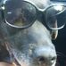 Profile Picture of Helmut Lambert Dalbert (@helmutlambert.dalbert) on Facebook
