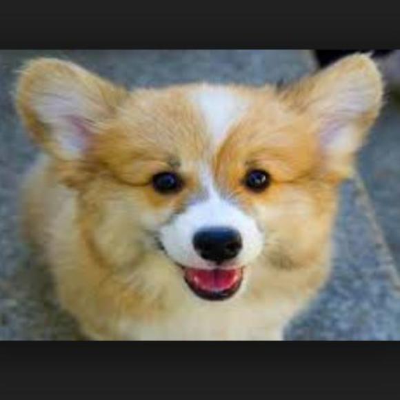 Profile Picture of Ethan Hioe (@thepvpcrafter) on Poshmark