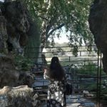 Sarah Razouki 🖤 - Instagram Profile Picture of Sarah Razouki 🖤 (@_sarah._.17) on Instagram