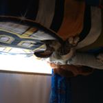 Profile Picture of Marcus MacDonald (@macdonald_2006) on Instagram