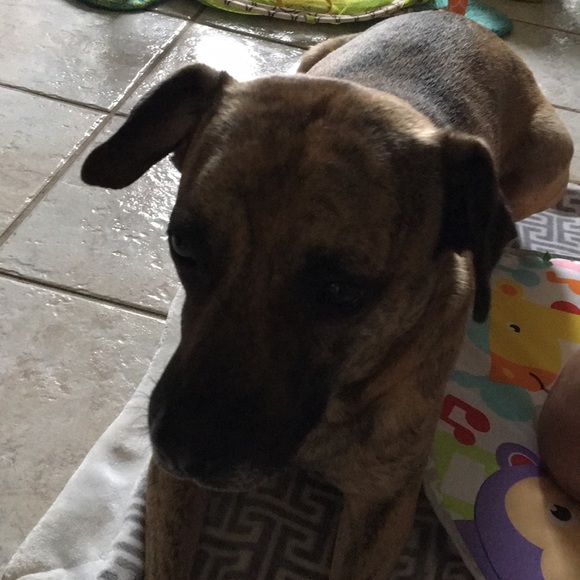 Profile Picture of Daniel Barefield (@dannybare52) on Poshmark