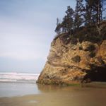 Harrison Chandler - Instagram Profile Picture of Harrison Chandler (@hairychandler) on Instagram