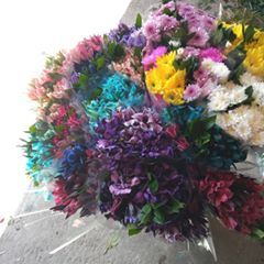 Profile Picture of Valerio Garcia (@valeriogarcia8) on Tiktok