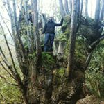 Profile Picture of Antonio Pernas (@persacs) on Instagram