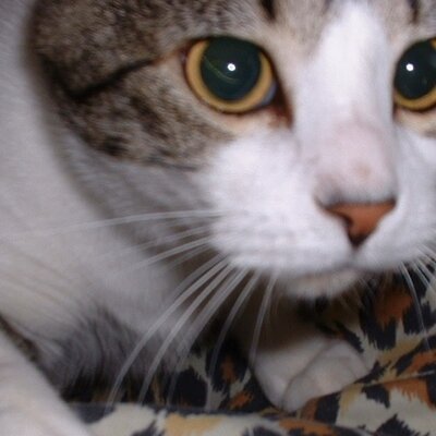 Profile Picture of Patrick Wilbur (@PatrickWilbur) on Twitter