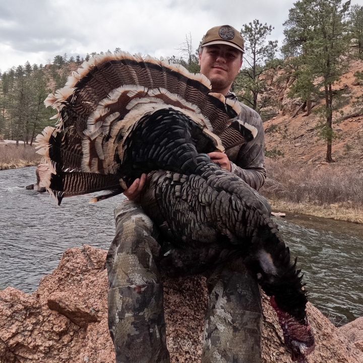 Profile Picture of bryan speller (@@bryanspeller) on Tiktok