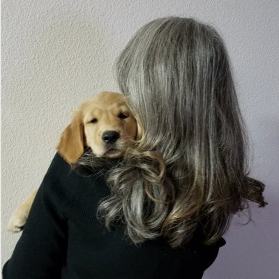 Profile Picture of Casey Wilson (@CaseyWilsonAuth) on Twitter