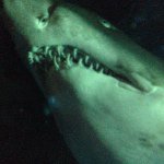 Profile Picture of James Philip Malone (@juniour.james11) on Instagram